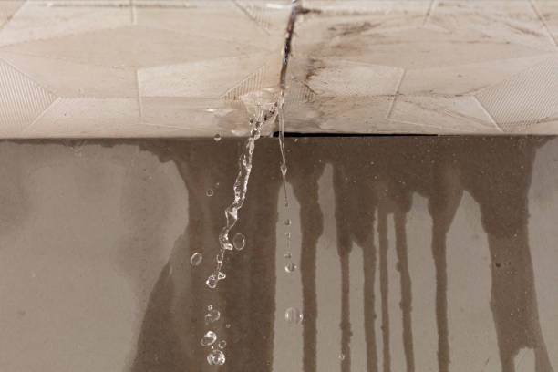 Professional Flood Damage Cleanup technician working in Butler, IN